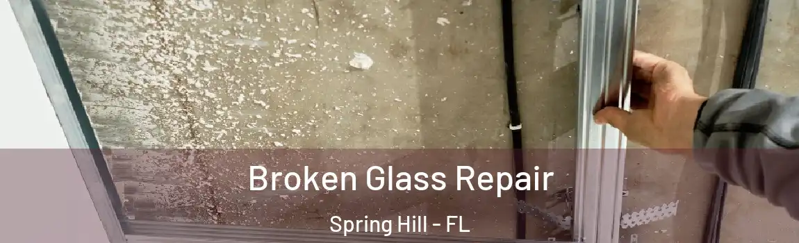 Broken Glass Repair Spring Hill - FL