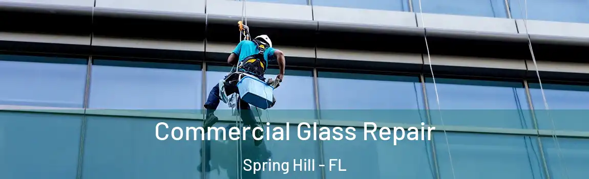 Commercial Glass Repair Spring Hill - FL