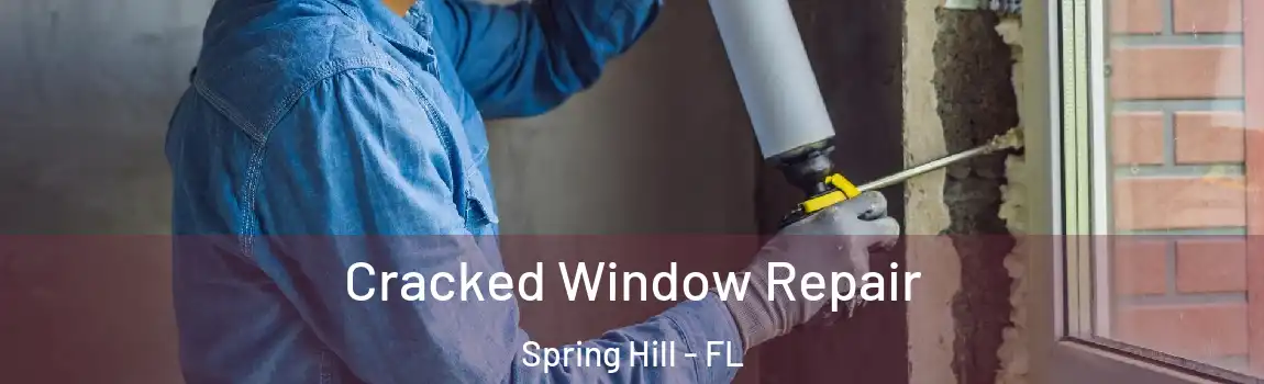 Cracked Window Repair Spring Hill - FL