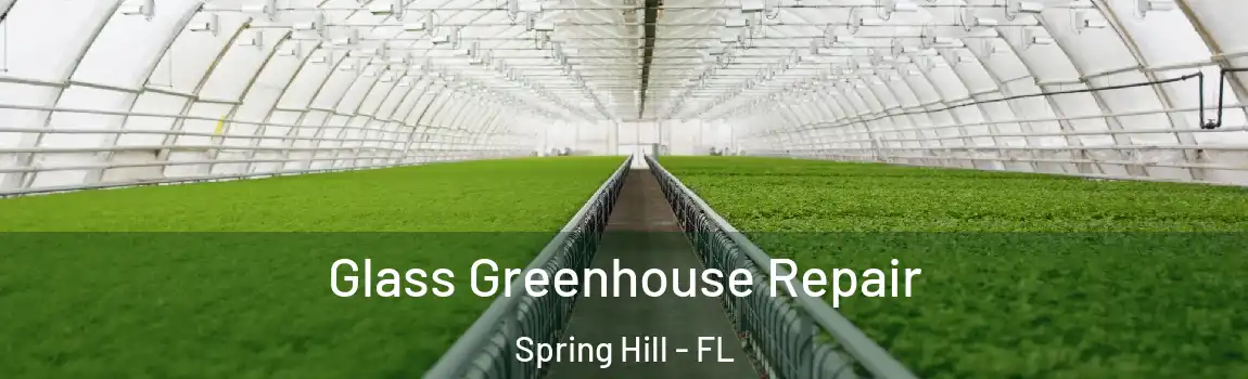 Glass Greenhouse Repair Spring Hill - FL