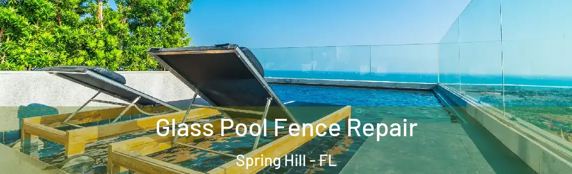 Glass Pool Fence Repair Spring Hill - FL