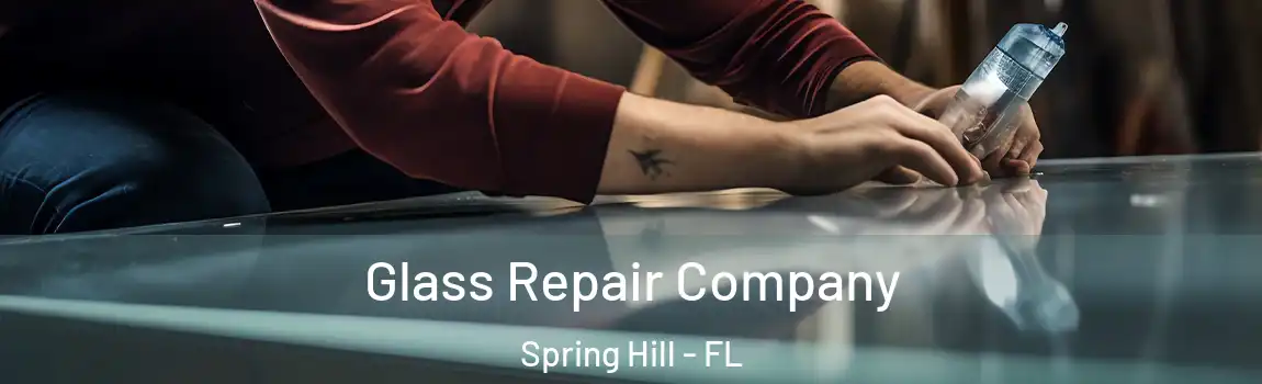 Glass Repair Company Spring Hill - FL