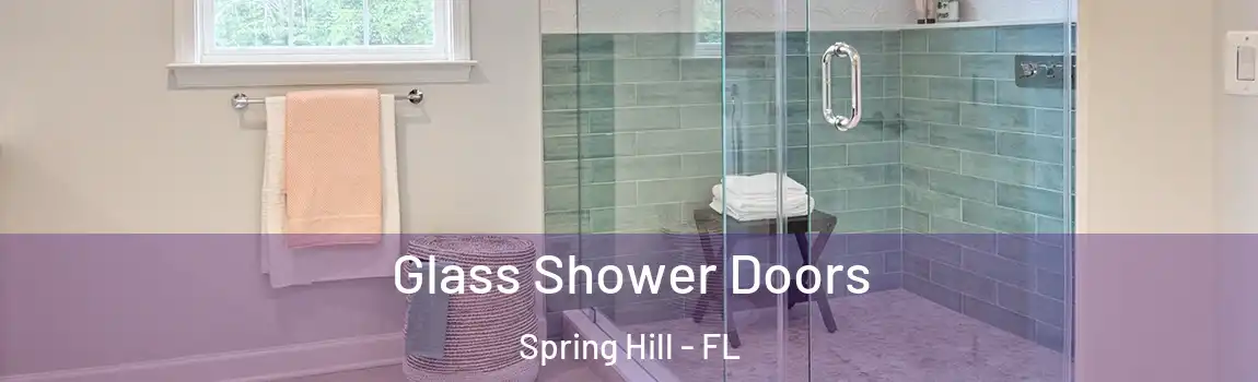 Glass Shower Doors Spring Hill - FL