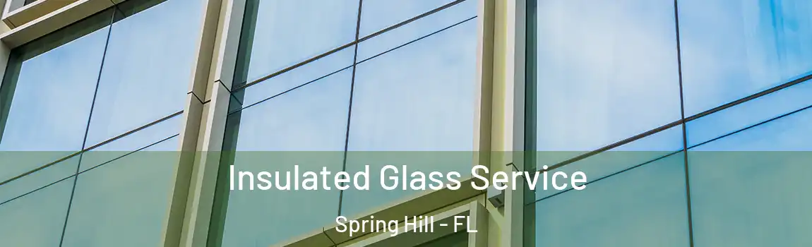 Insulated Glass Service Spring Hill - FL