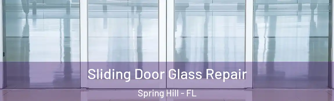Sliding Door Glass Repair Spring Hill - FL