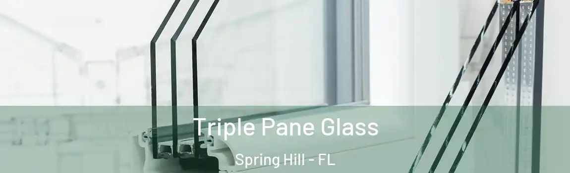 Triple Pane Glass Spring Hill - FL