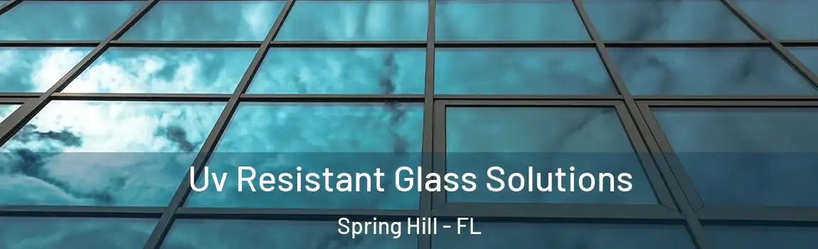 Uv Resistant Glass Solutions Spring Hill - FL