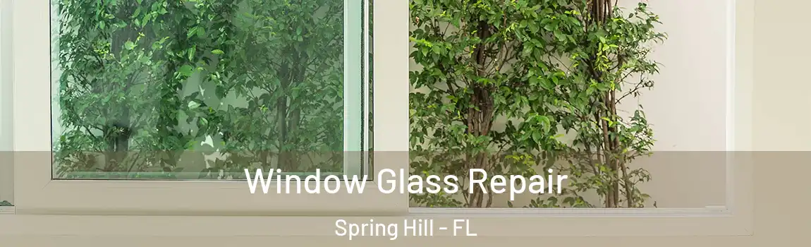 Window Glass Repair Spring Hill - FL