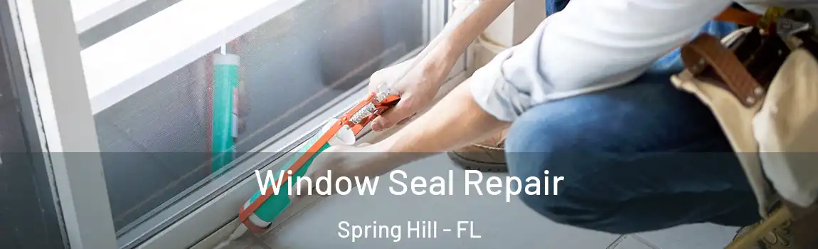 Window Seal Repair Spring Hill - FL